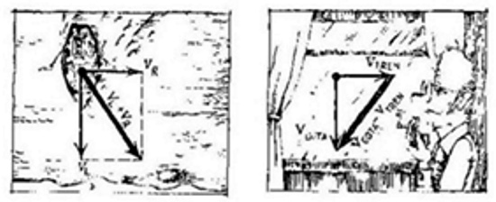 01-05 y 06.jpg